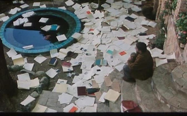 Söğüt Ağacı Fotoğrafı