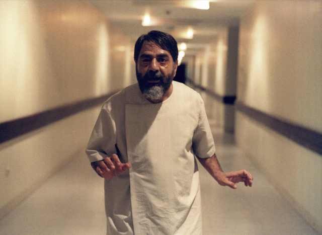 Söğüt Ağacı Fotoğrafı