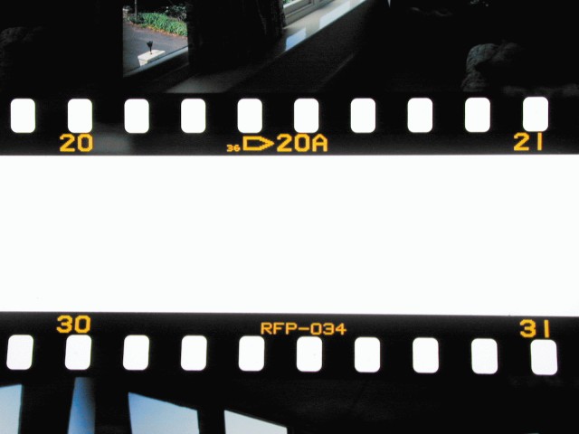 Çılgın Bediş Fotoğrafı