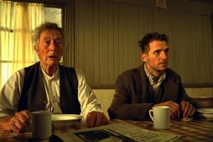 Örümcek Fotoğrafı