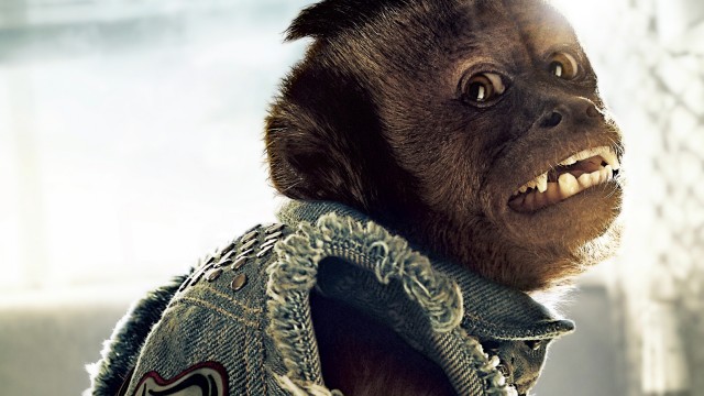 Felekten Bir Gece Fotoğrafı