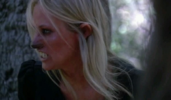 War Wolves fotoğrafı