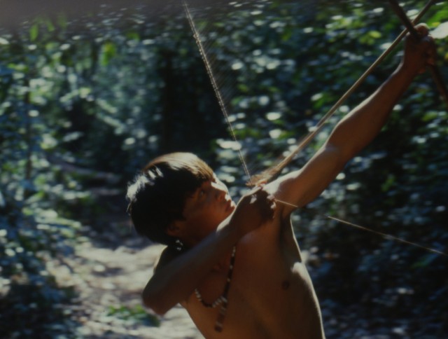 Birdwatchers Fotoğrafı