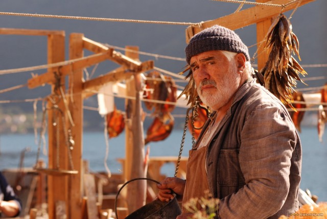 Red Zora Fotoğrafı