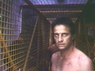 Fortress fotoğrafı