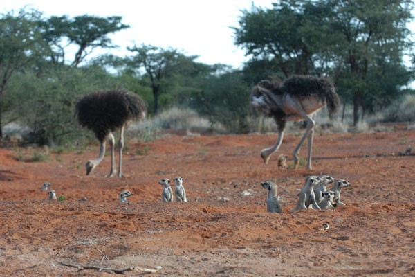 Mirket Ailesi Fotoğrafı