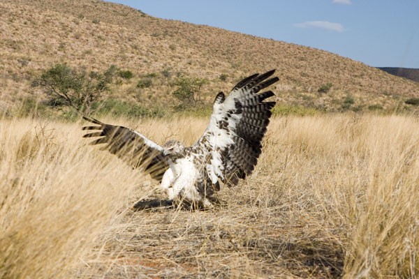 Mirket Ailesi Fotoğrafı