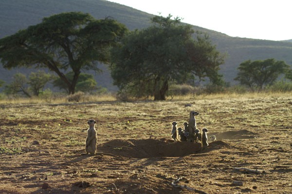 Mirket Ailesi Fotoğrafı
