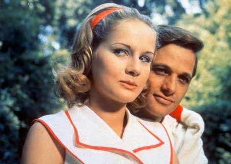 Finzi Contini'lerin Bahçesi Fotoğrafı