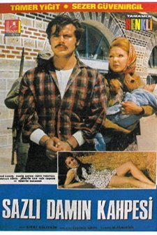 Sazlı Damın Kahpesi (1969) afişi