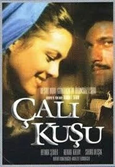Çalıkuşu (1986) afişi