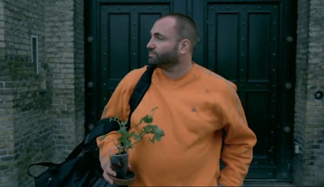 Yaşlı Kurtlar Yeni Arabalar Fotoğrafı