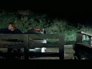 The Locals Fotoğrafı