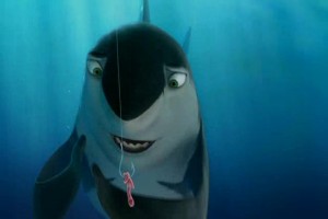 Köpekbalığı Hikayesi Fotoğrafı