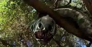 Razortooth fotoğrafı