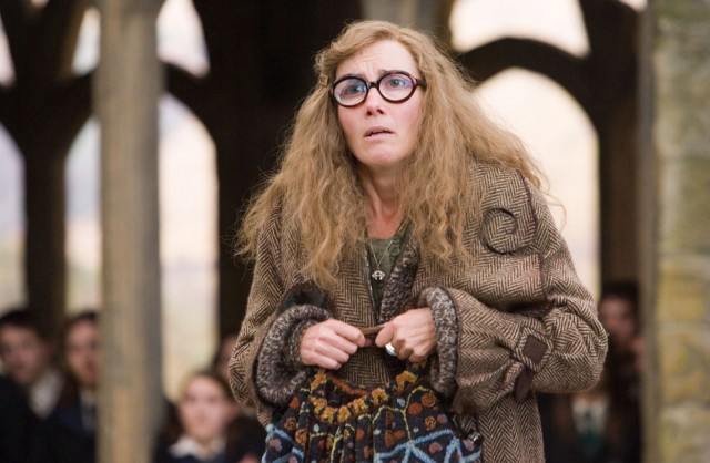 Harry Potter ve Zümrüdüanka Yoldaşlığı Fotoğrafı