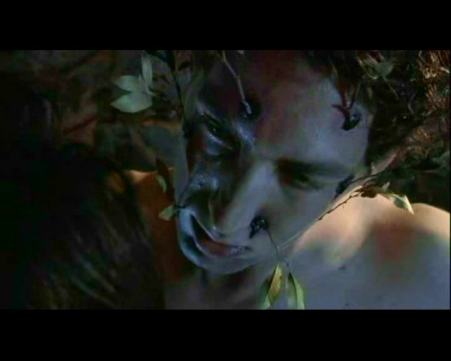 Haunted Forest Fotoğrafı