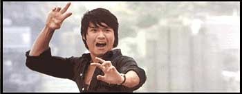 Acemi çaylak fotoğrafı