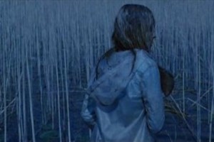 Sihirli Mantar Fotoğrafı