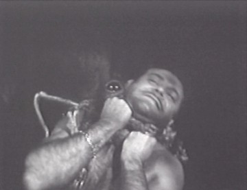 Örümcek Adasının Dehşeti Fotoğrafı