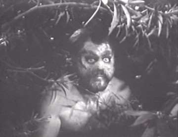 Örümcek Adasının Dehşeti Fotoğrafı