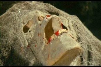 Werewolf Shadow Fotoğrafı