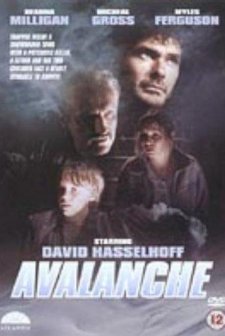 Avalanche (1994) afişi