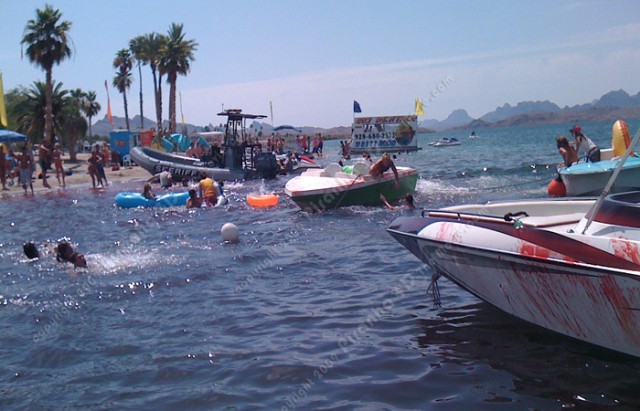 Pirana 3D Fotoğrafı