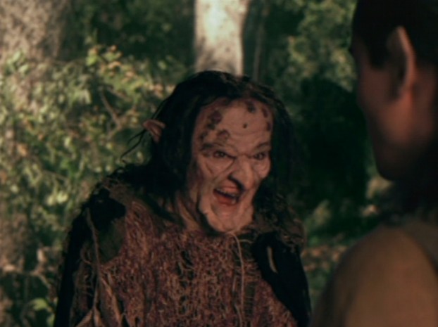 A Light ın The Forest Fotoğrafı