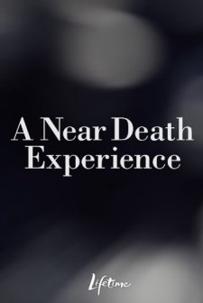 Sesler (2008) afişi