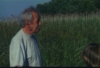 Yengeç Sepeti Fotoğrafı