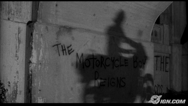 Siyam Balığı Fotoğrafı