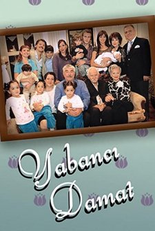 Yabancı Damat (2004) afişi
