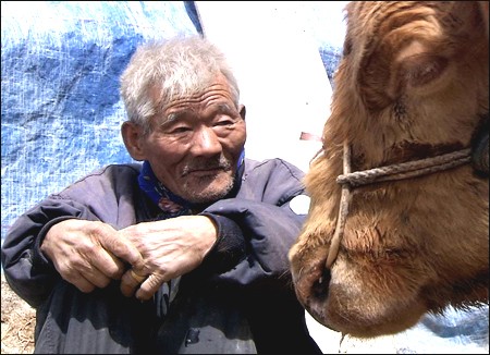 Yaşlı Ortak Fotoğrafı