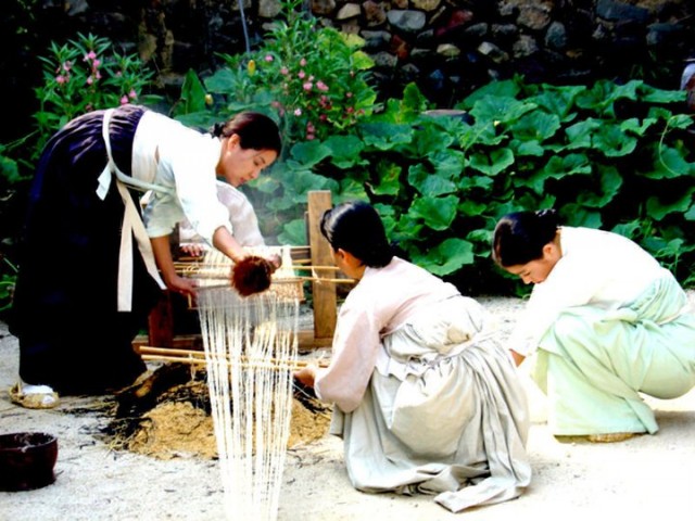 The Land Fotoğrafı
