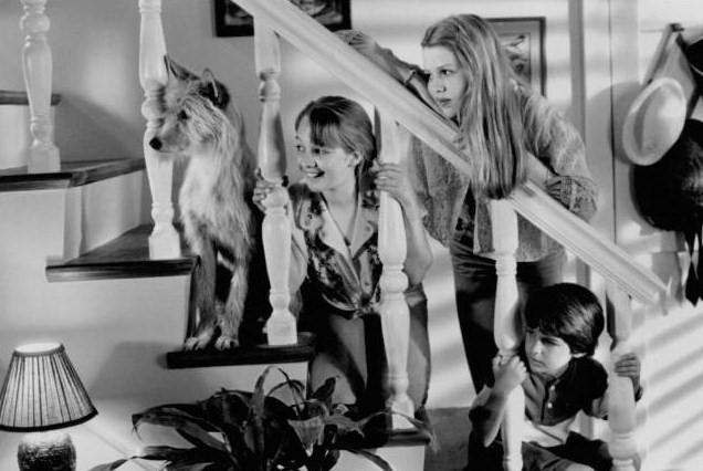 Zeus Ve Roxanne Fotoğrafı