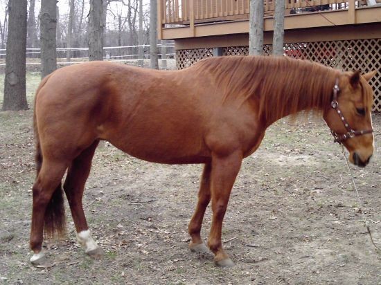 Miss Texas Fotoğrafı