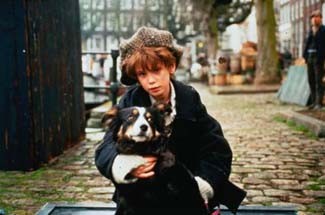 Little Crumb fotoğrafı