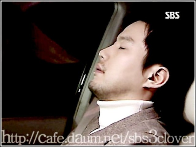 Three Leaf Clover Fotoğrafı