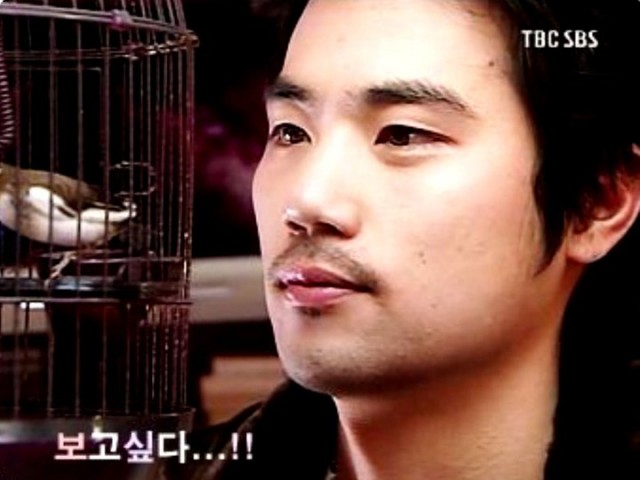 Three Leaf Clover Fotoğrafı