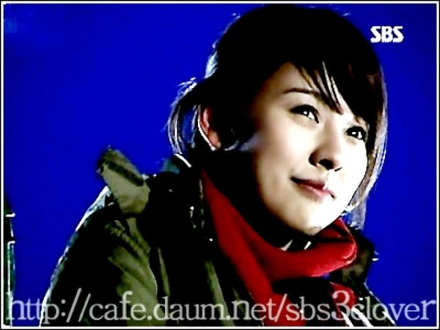 Three Leaf Clover Fotoğrafı