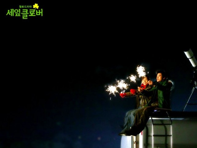 Three Leaf Clover Fotoğrafı