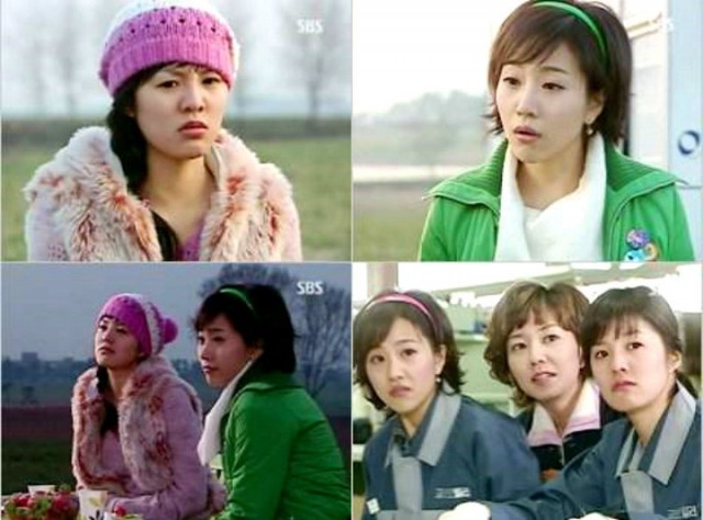 Three Leaf Clover Fotoğrafı