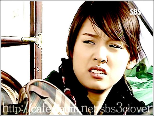 Three Leaf Clover Fotoğrafı