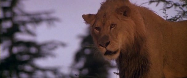 The Clan Of The Cave Bear Fotoğrafı