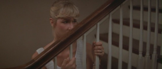 Mavi Kadife Fotoğrafı