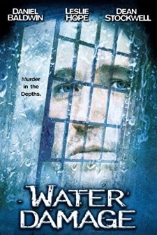 Water Damage (1999) afişi