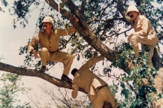 Noirs Et Blancs En Couleur fotoğrafı