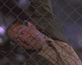 Afacan Köpek Beethoven Fotoğrafı