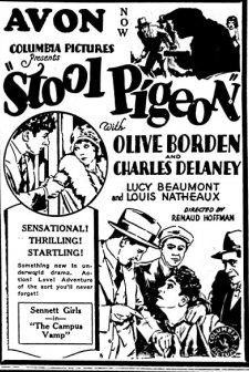 Stool Pigeon (1928) afişi